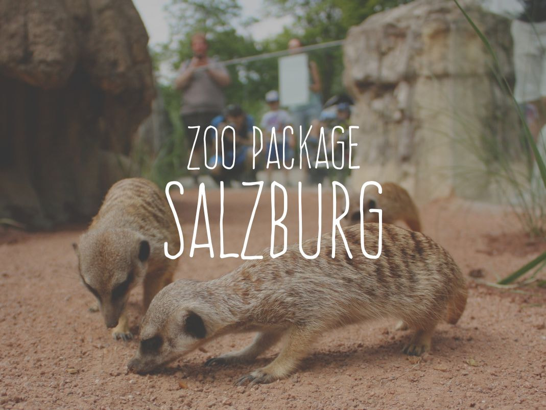 Bild des Zimmers Standard | Zoo Package