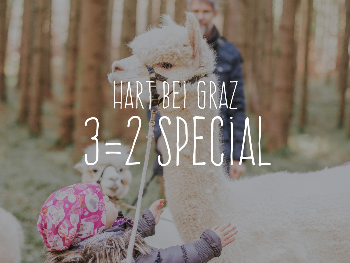 Bild des Zimmers Standard | harry's 3=2 special