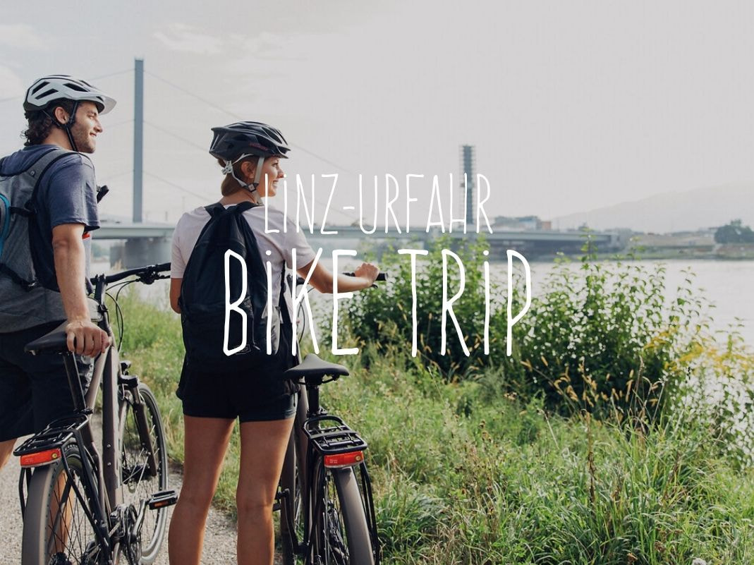 Bild des Zimmers Standardzimmer | harry's Radurlaub Linz